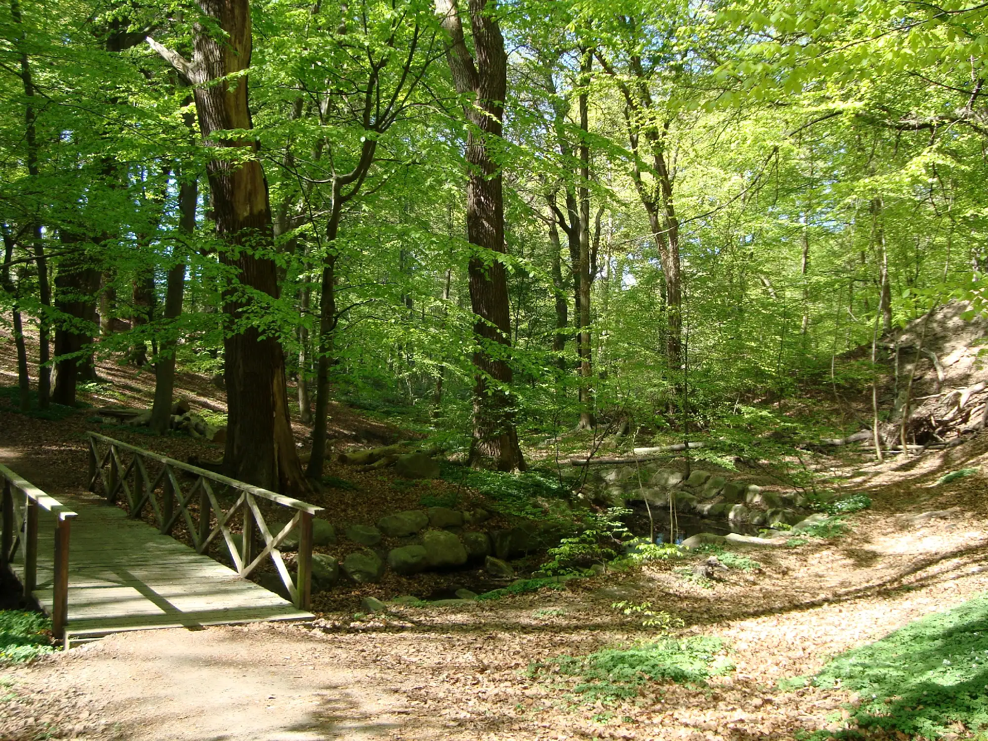 Pålsjö Skog