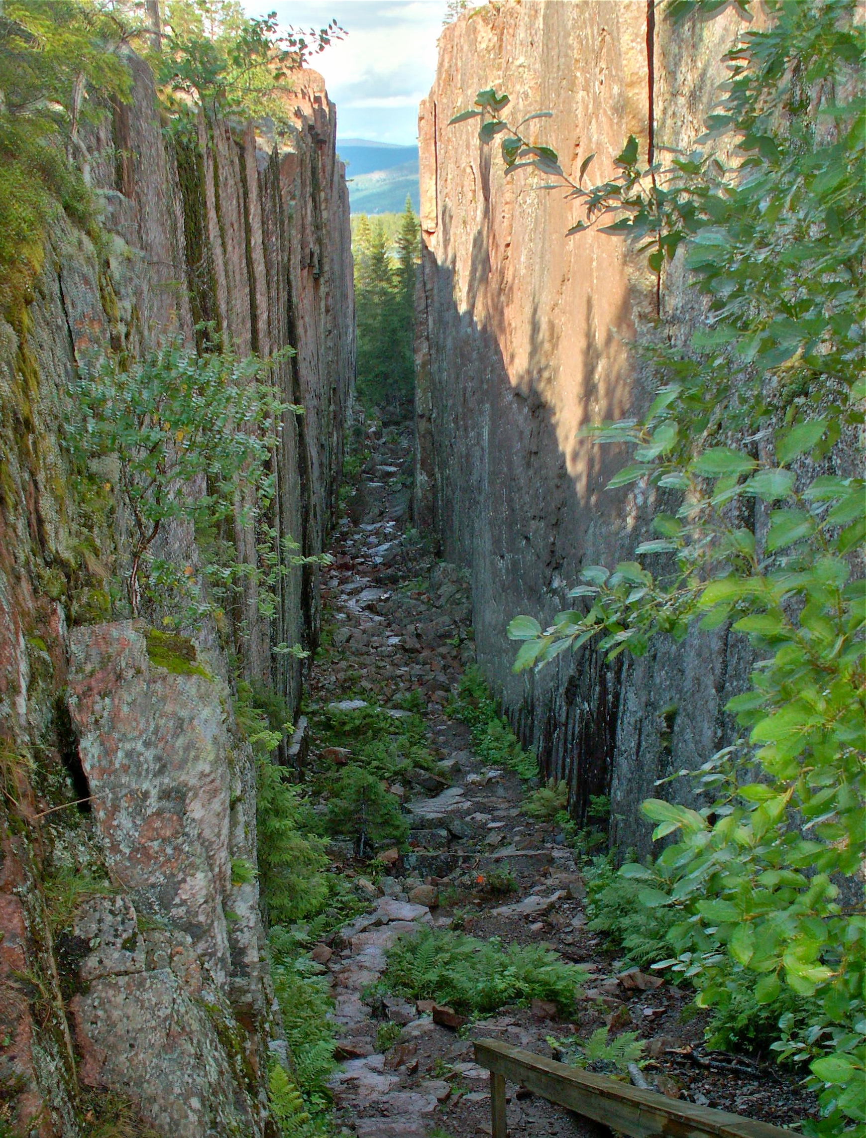 Skuleskogen