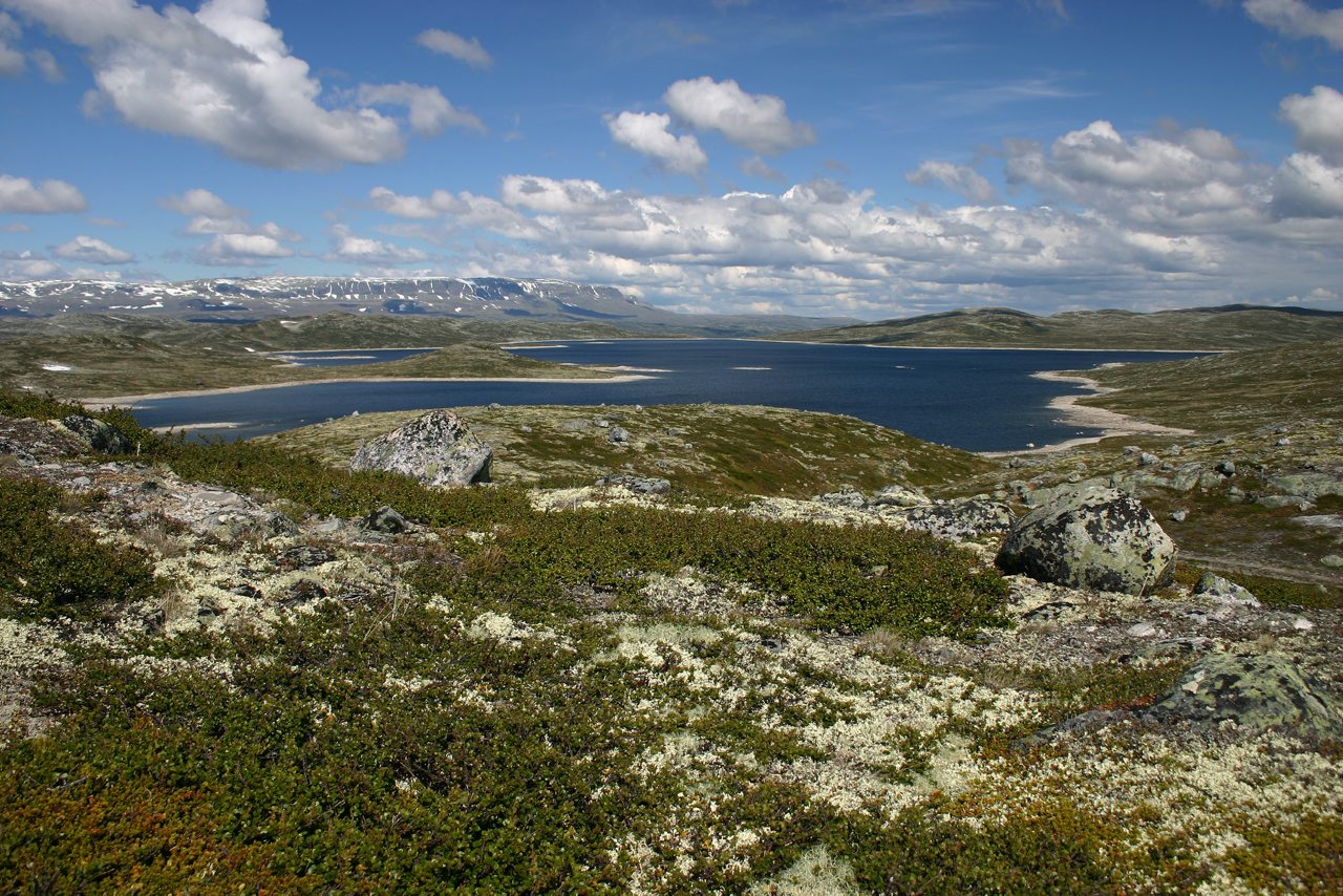 Hardangervidda nationalpark