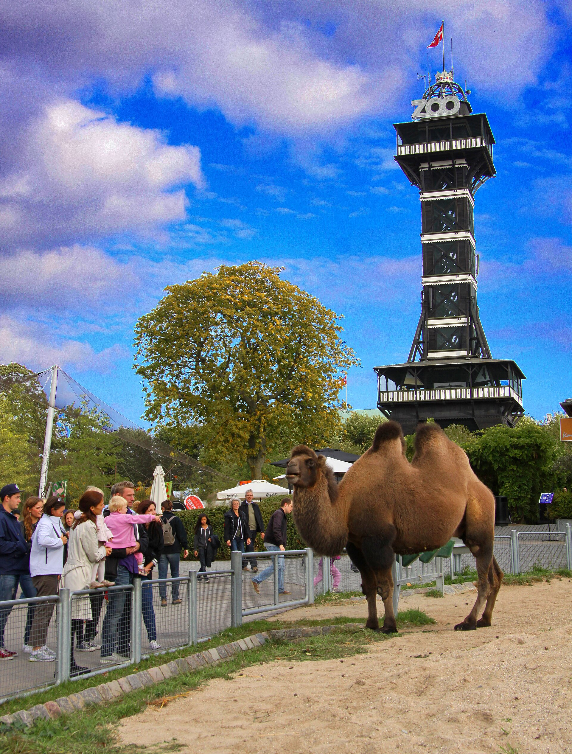 Köpenhamns zoo
