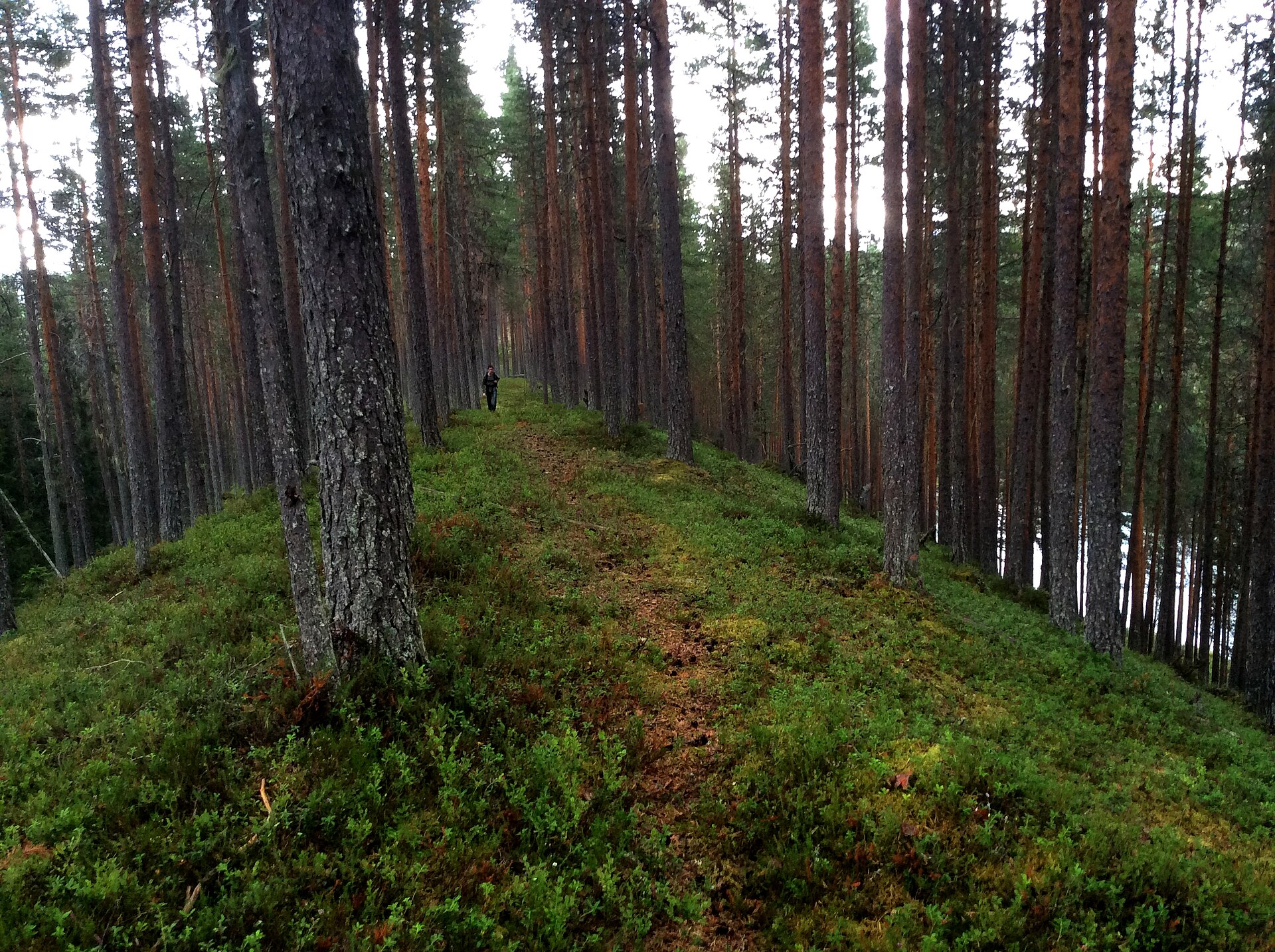 Vändåtberget