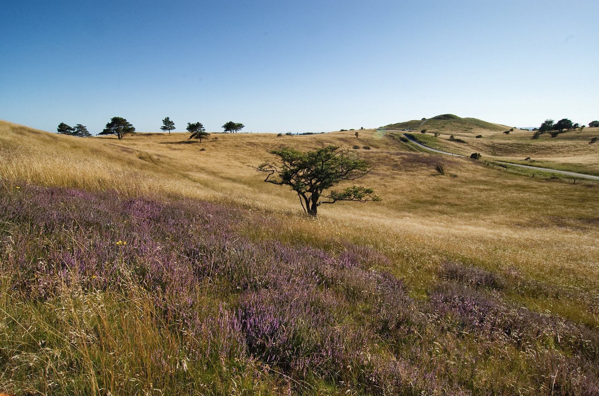 Nationalpark Mols Bjerge
