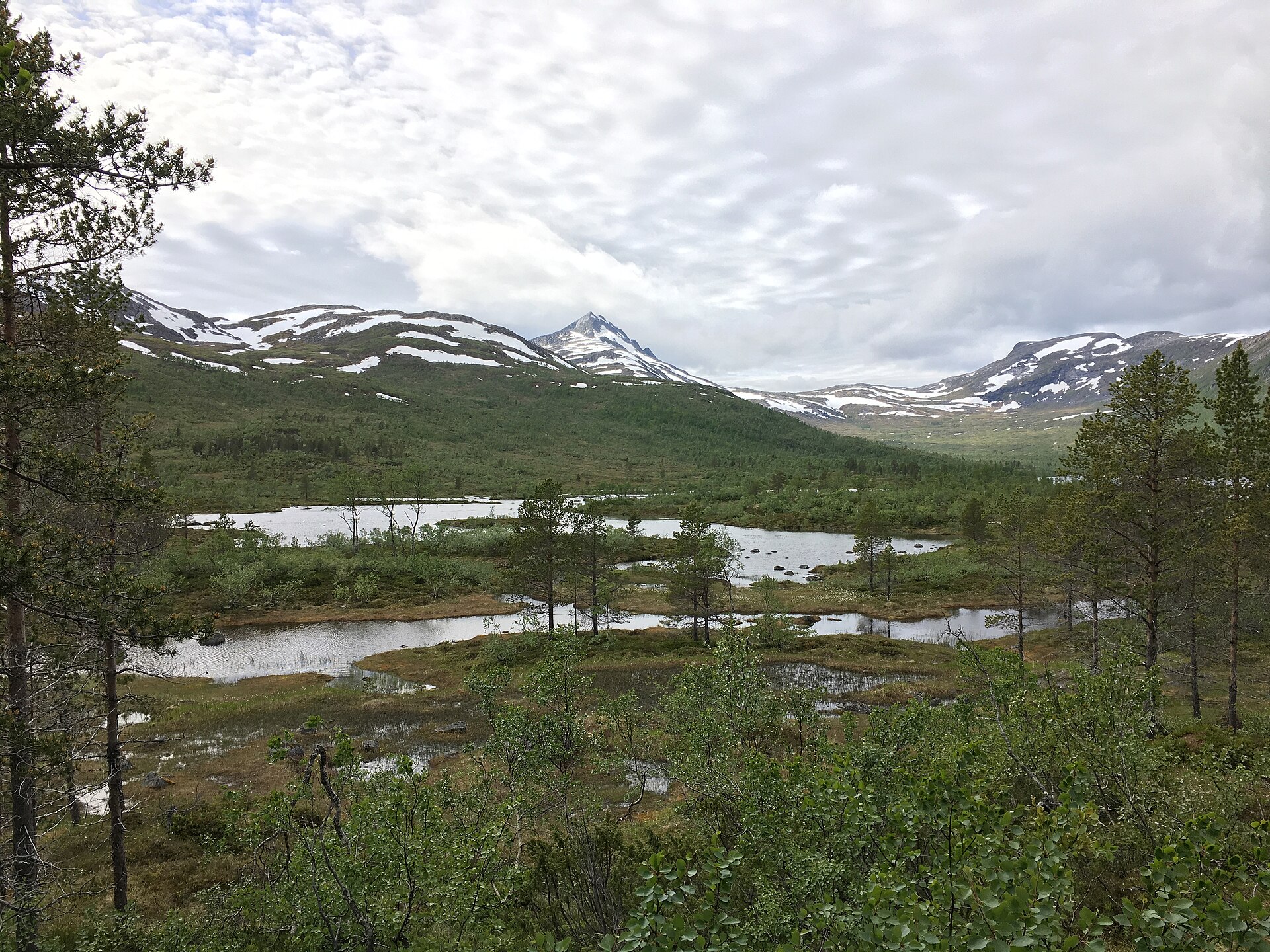 Ånderdalen nationalpark