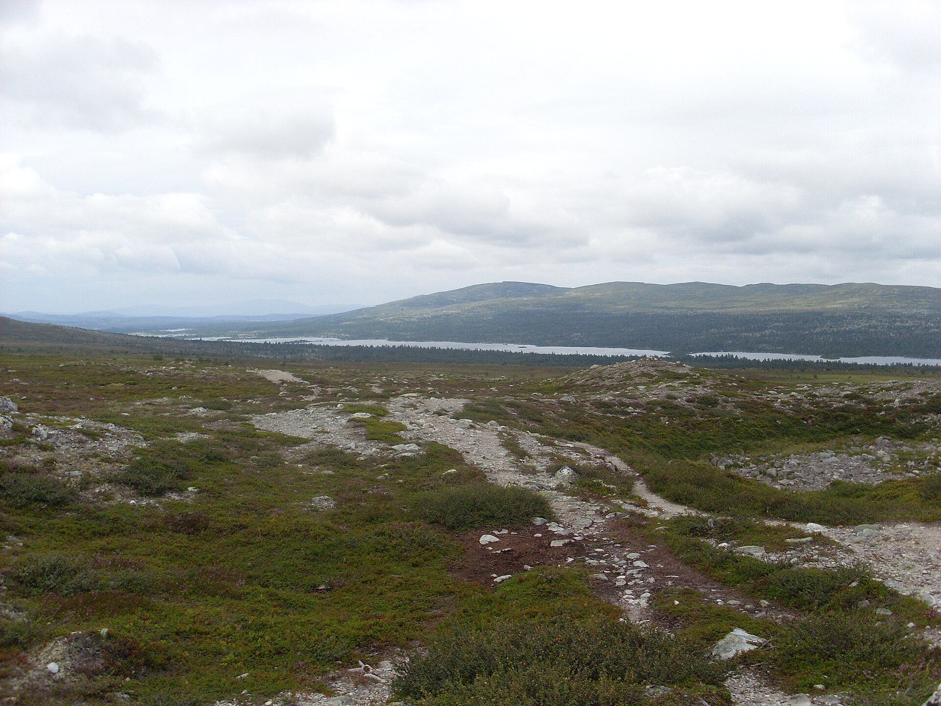 Töfsingdalens nationalpark
