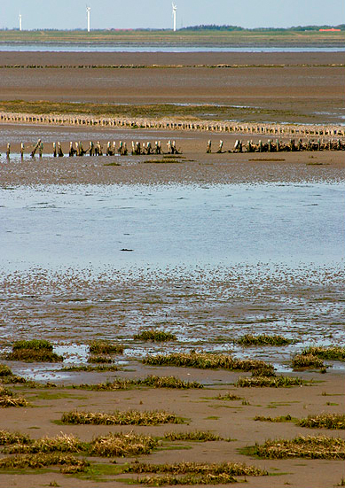 Nationalpark Vadehavet