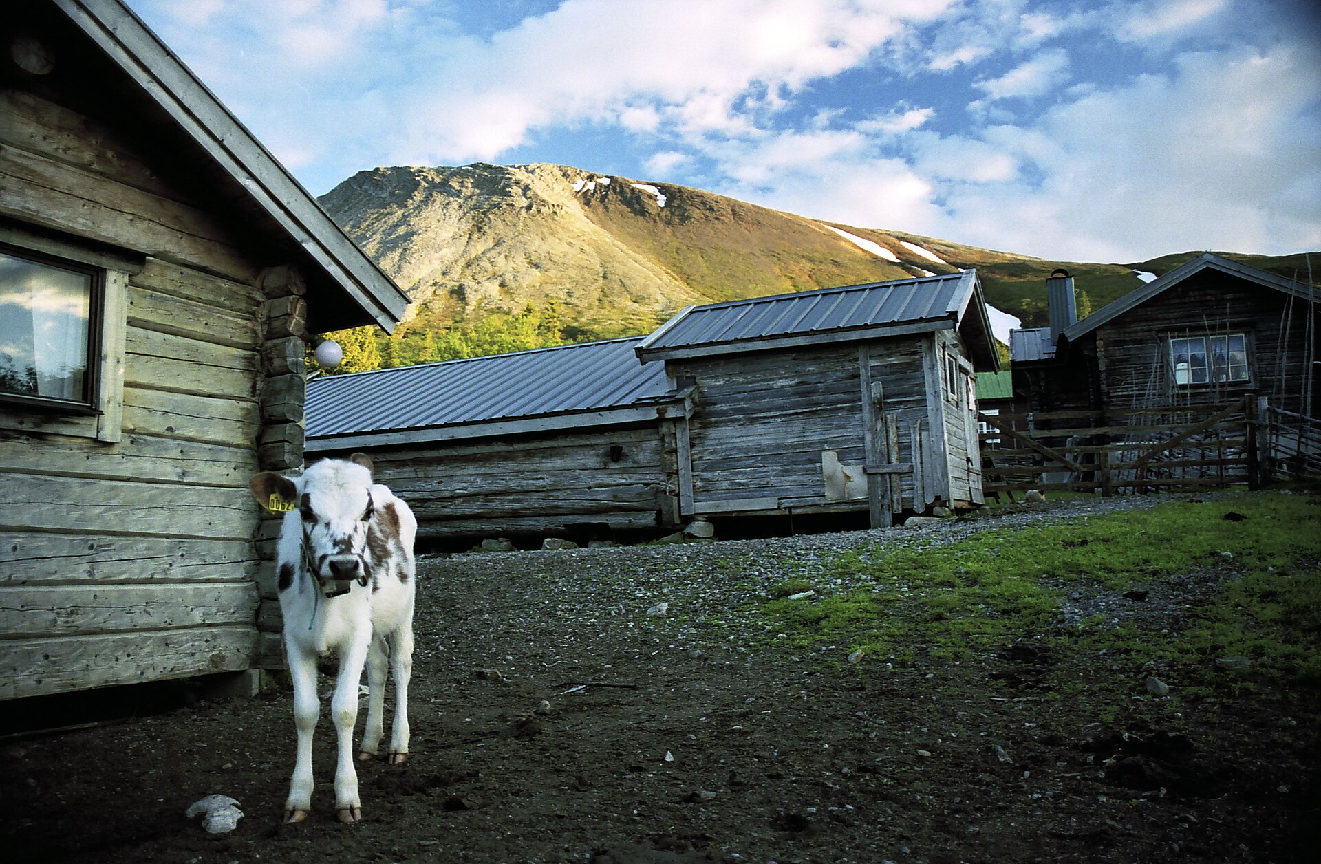 Sonfjället